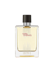 Hermes, Terre d'Hermes Flacon H Limited Edition, Eau De Toilette, For Men, 100 ml