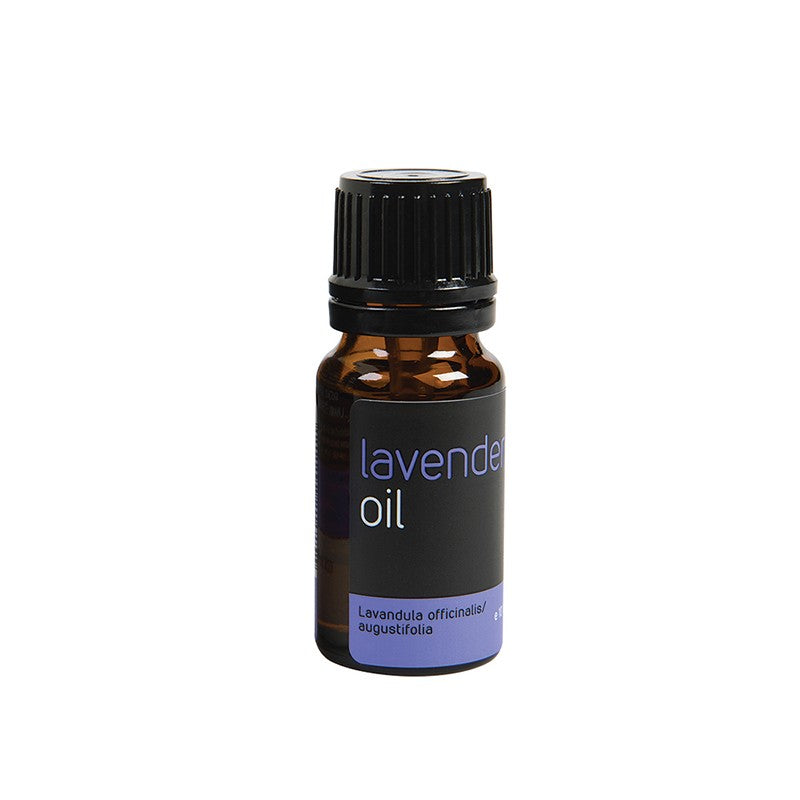 ECONORD lavender essential oil 10 ml